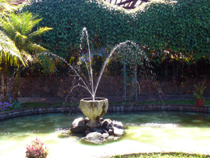 A fountain sprays attractively in front of the sculptured hedge behind which is the swimmming pool.